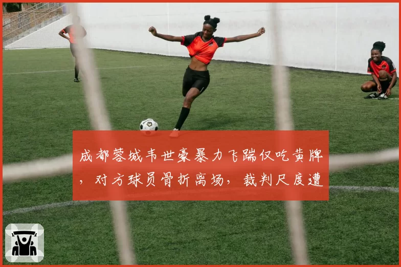 成都蓉城韦世豪暴力飞踹仅吃黄牌，对方球员骨折离场，裁判尺度遭质疑