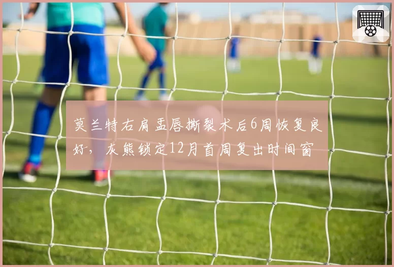 莫兰特右肩盂唇撕裂术后6周恢复良好，灰熊锁定12月首周复出时间窗