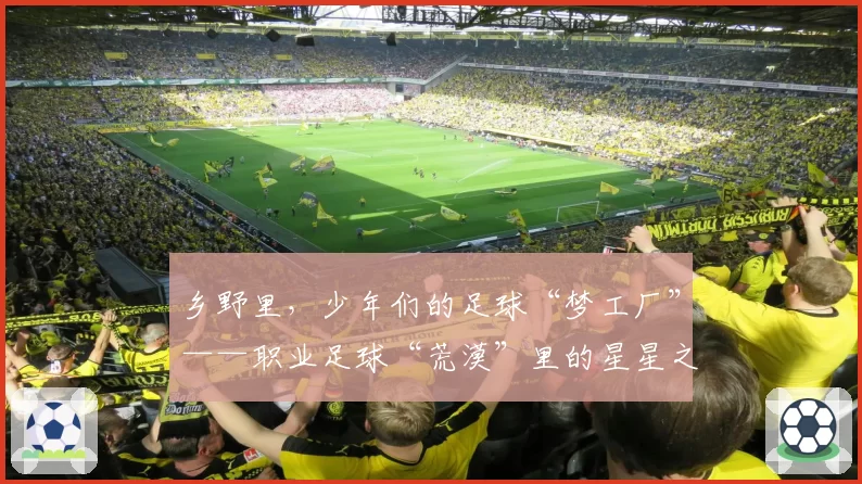 乡野里,少年们的足球“梦工厂”——职业足球“荒漠”里的星星之火之二