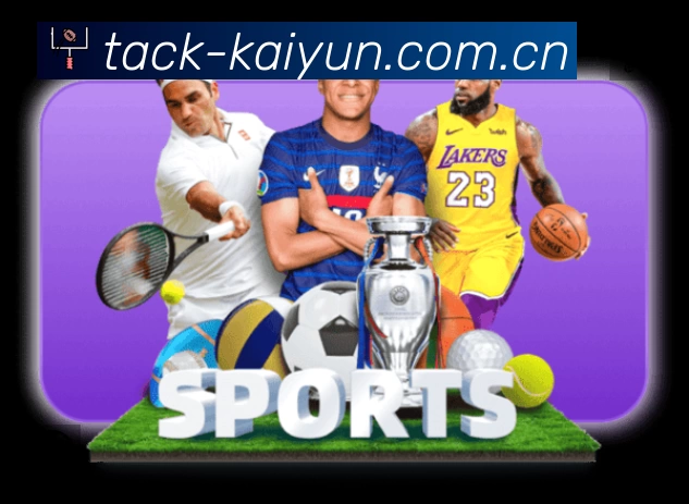 实时监控数据概览